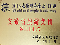 2016年度安徽服務(wù)企業(yè)100強