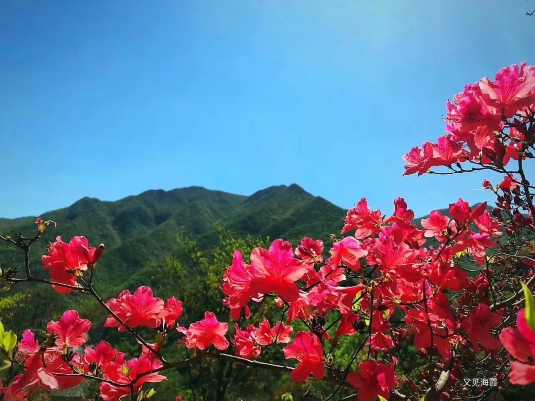 晨讀 | 桃花潭游